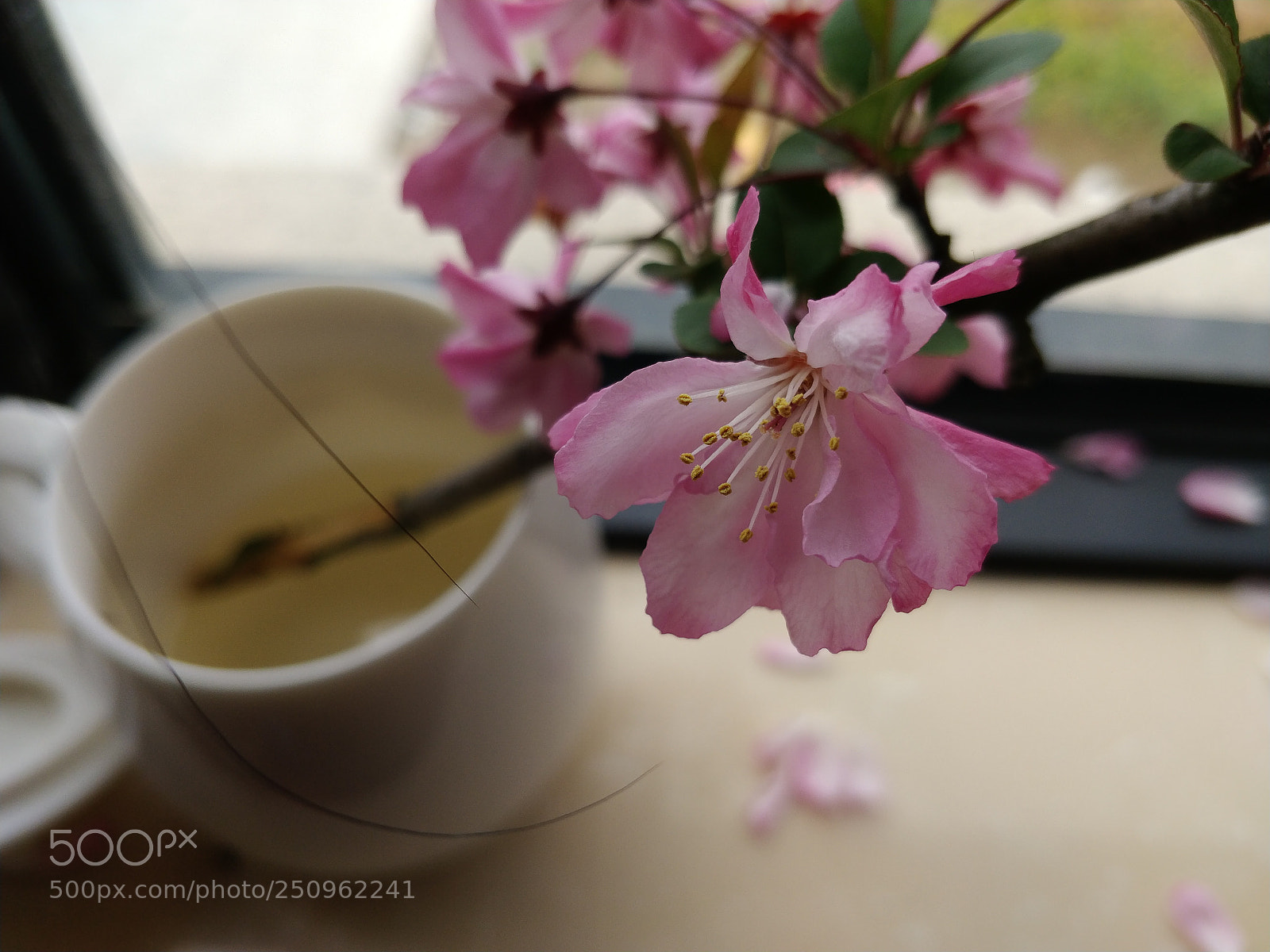OnePlus 5T sample photo. Five photography