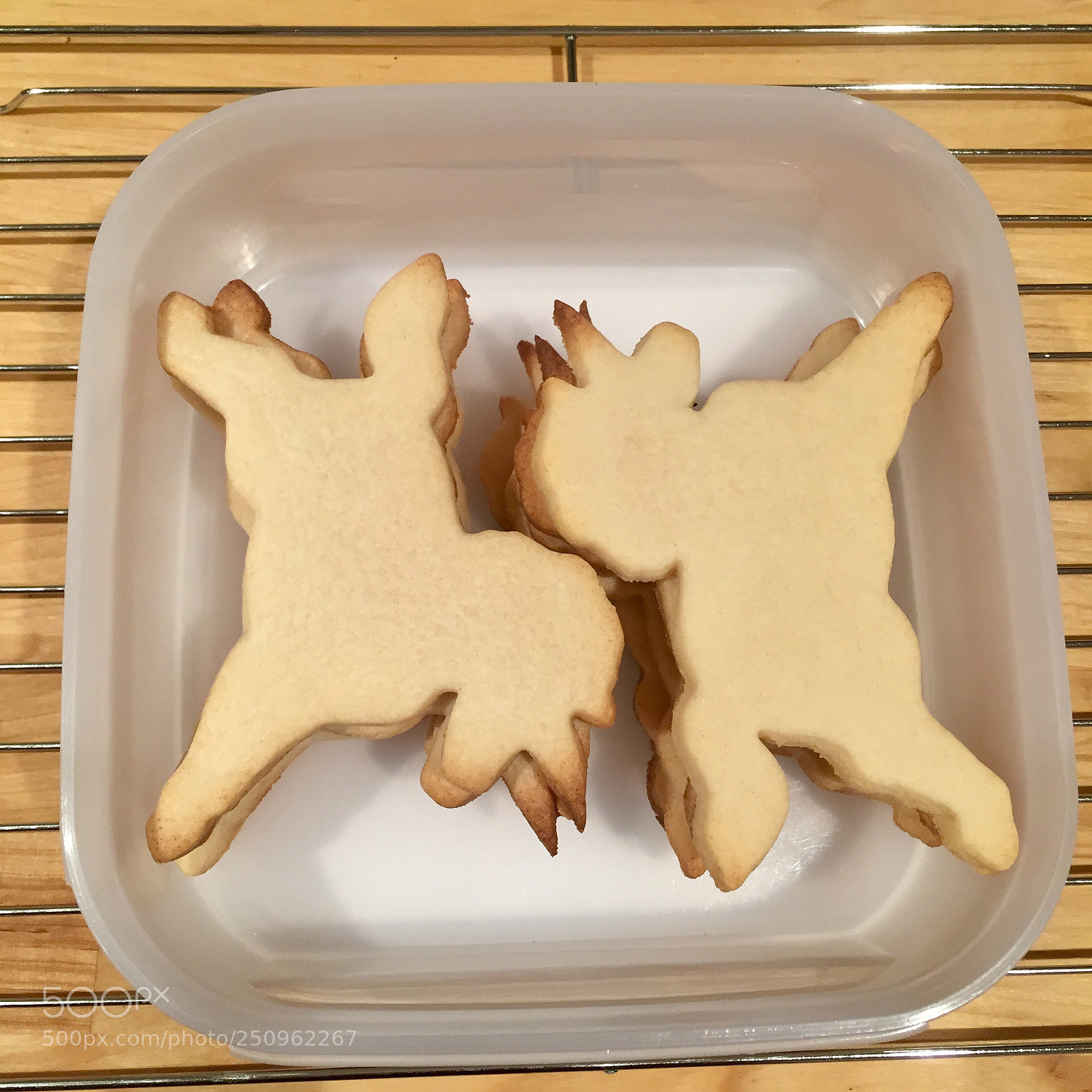 Apple iPhone 6 sample photo. Cookie’s galore. photography