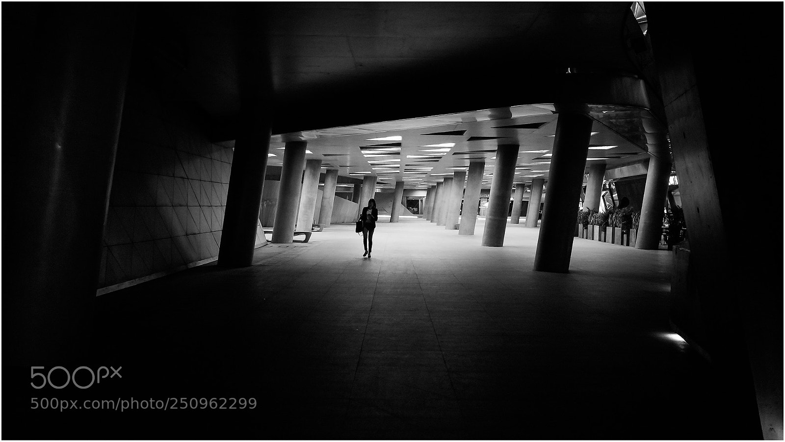 Sony Alpha NEX-5N sample photo. Untitled photography