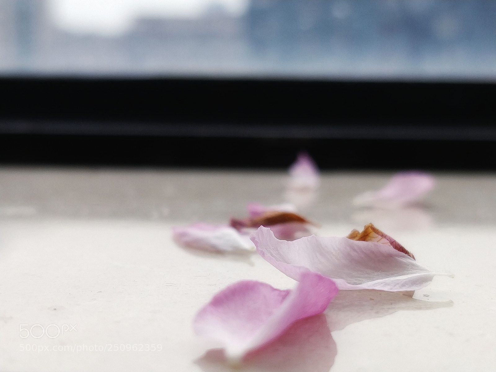 OnePlus 5T sample photo. Six（the end） photography