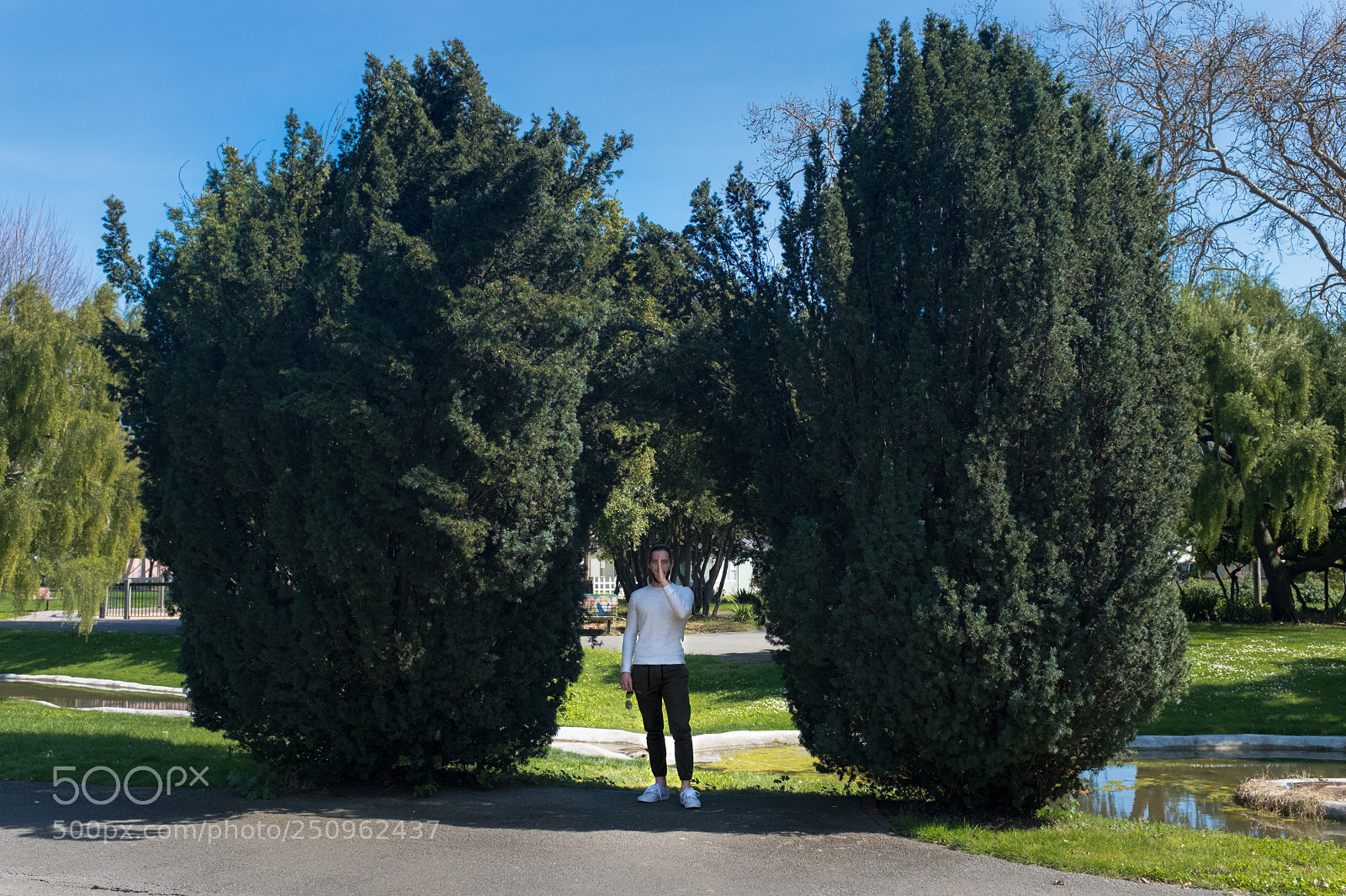 Fujifilm X100F sample photo. Centered photography