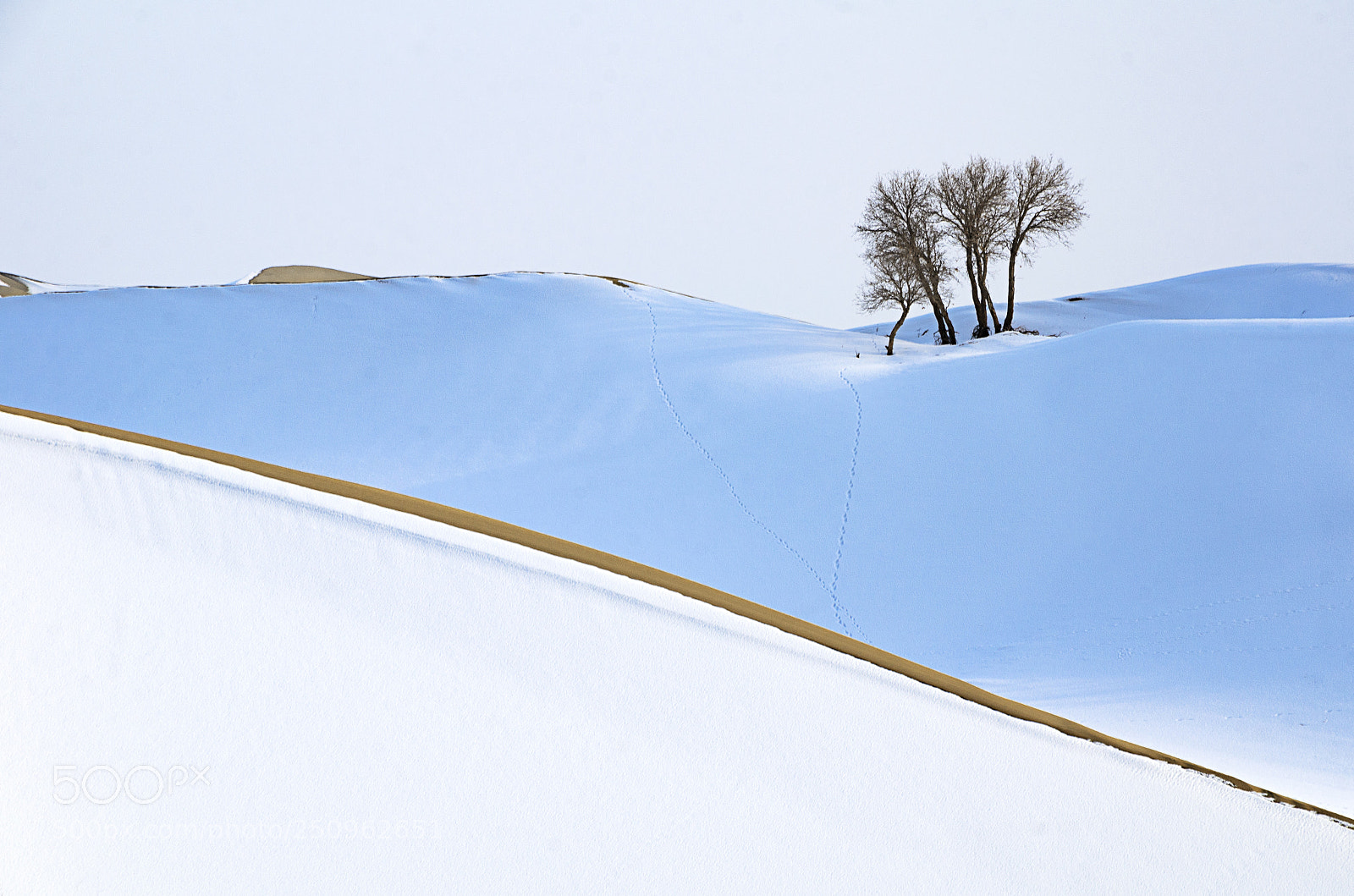 Nikon D7000 sample photo. Graceful photography