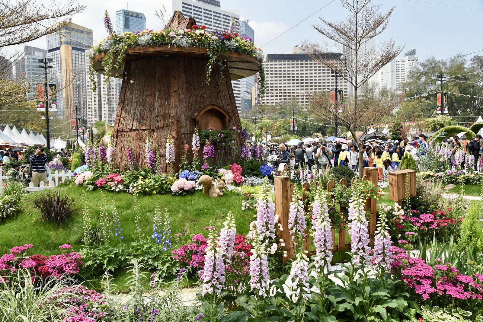 Nikon D750 sample photo. Hong kong flower show 2018 (180327) photography