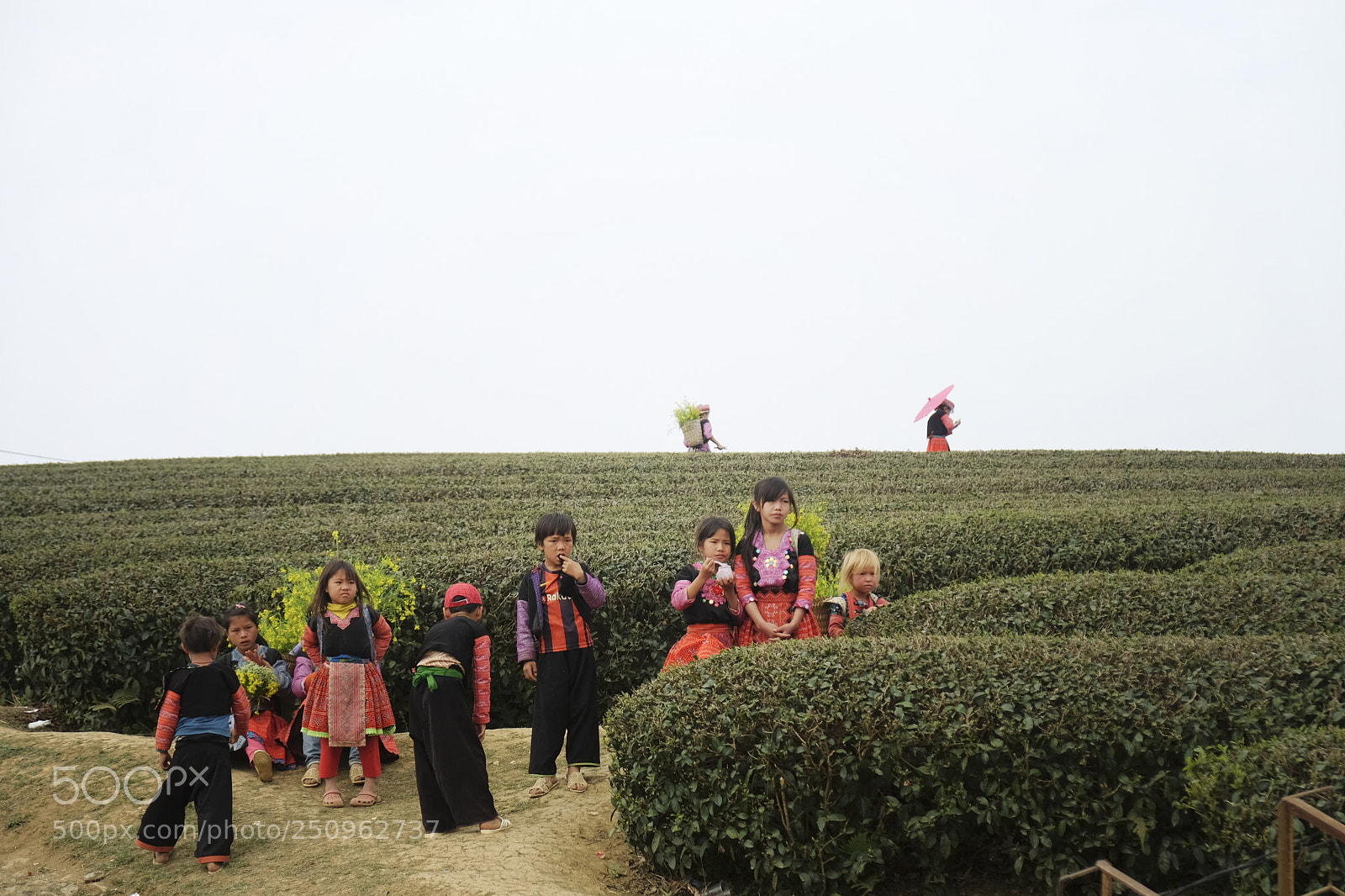 Fujifilm X-T10 sample photo. H'mong ' children photography