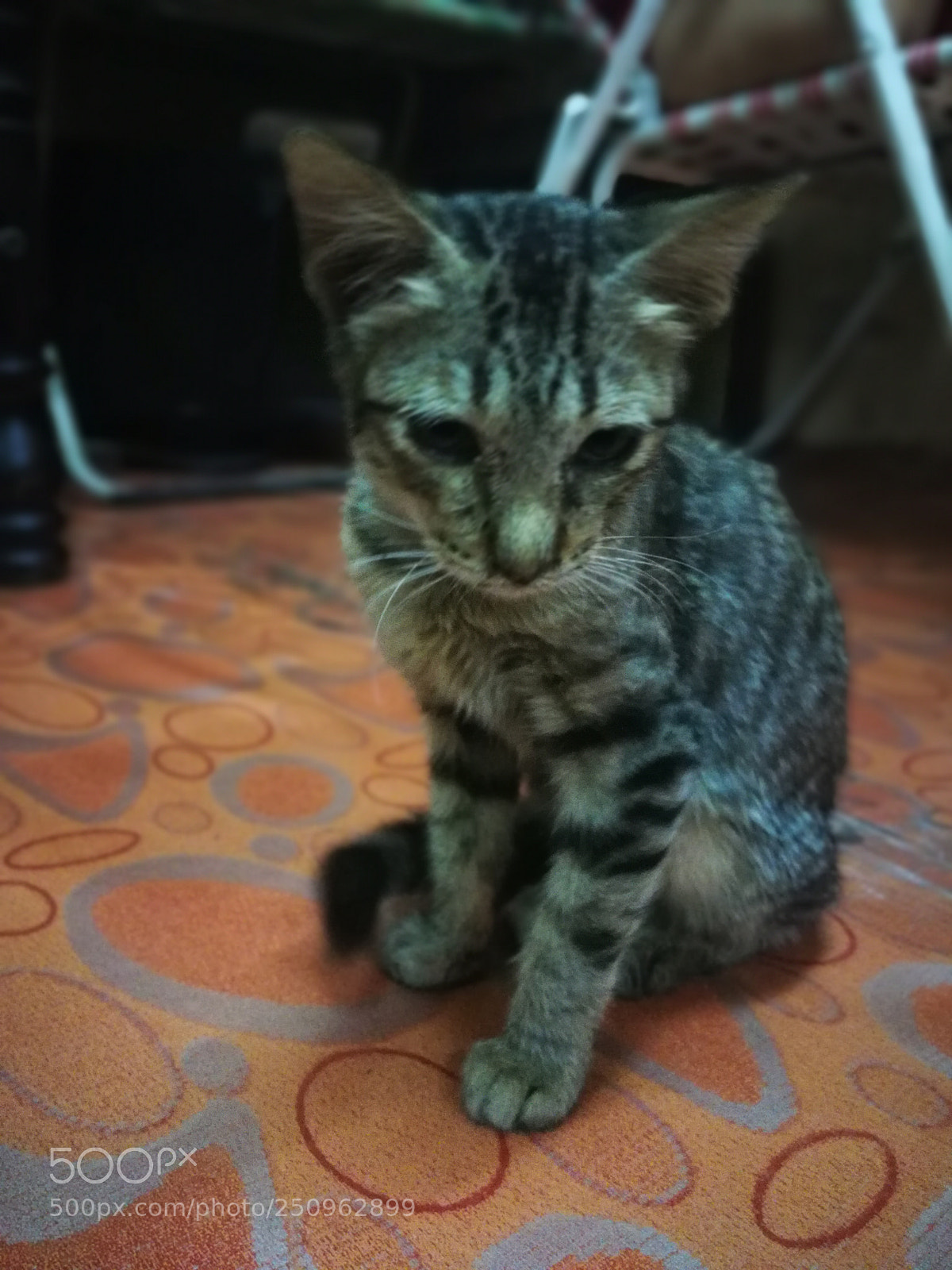 HUAWEI Mate 9 sample photo. Untitled photography