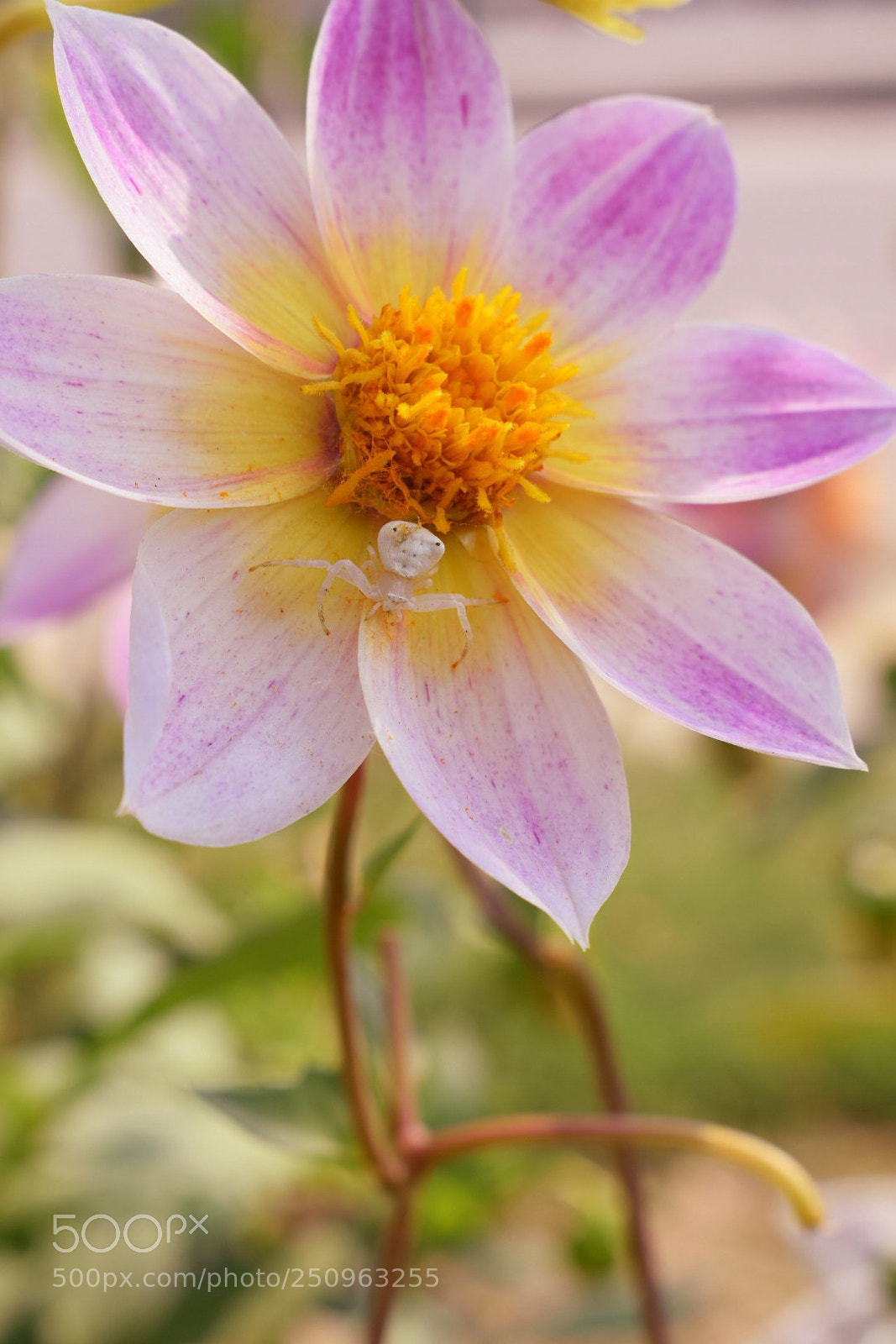 Nikon D5300 sample photo. Untitled photography