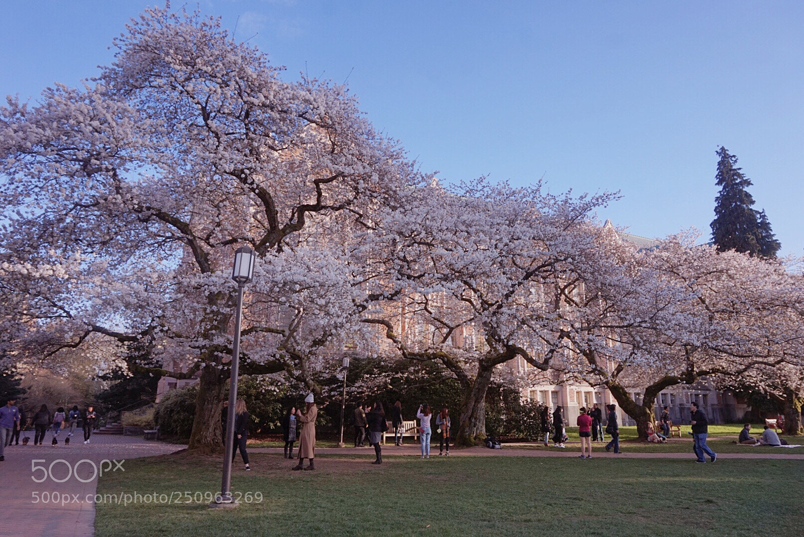 Sony Alpha a5000 (ILCE 5000) sample photo. Campus photography