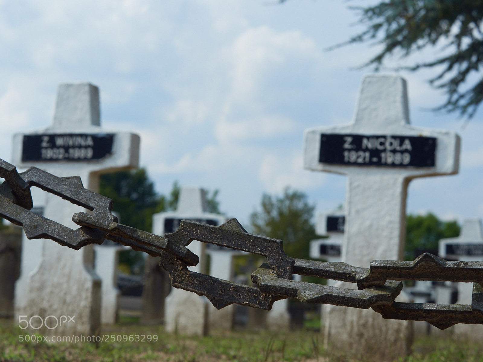 Olympus OM-D E-M5 II sample photo. Untitled photography