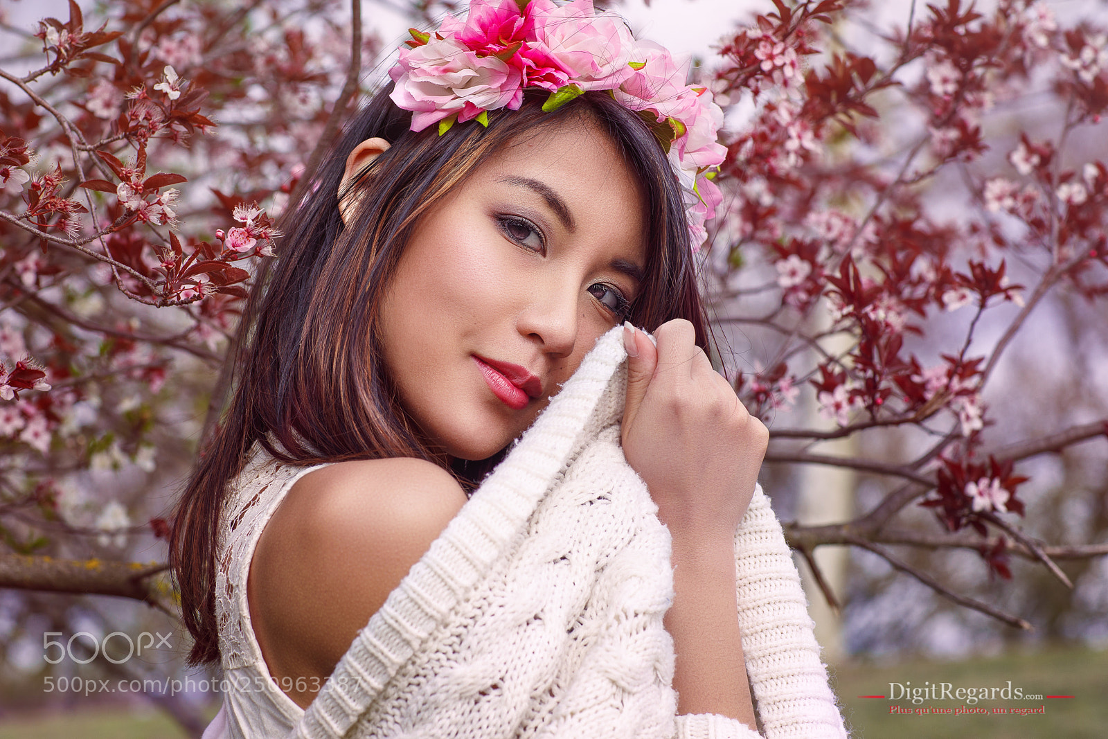 Canon EOS 5D Mark IV sample photo. A flower among the photography