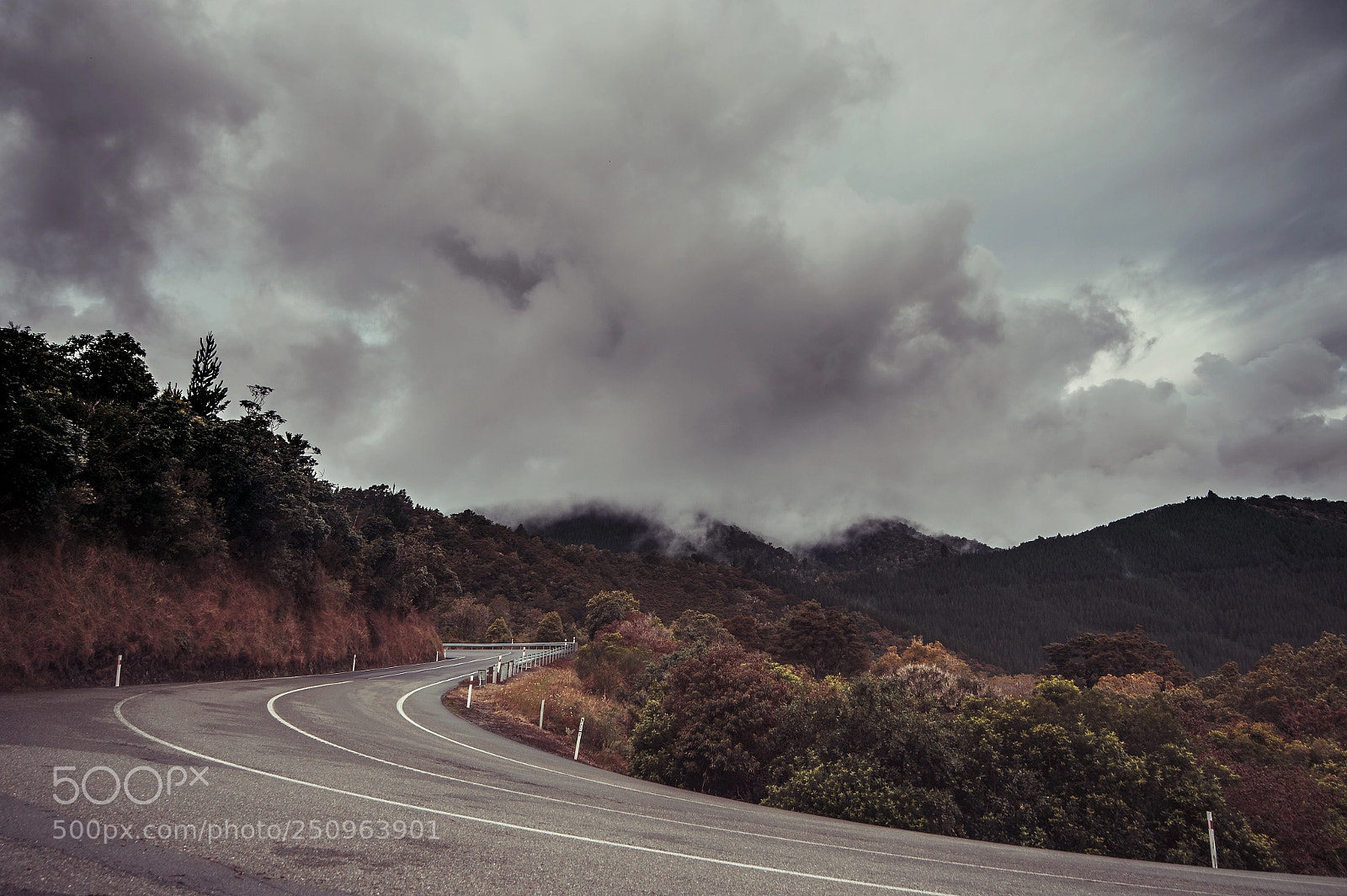 Nikon D4 sample photo. New zealand countryside roads photography