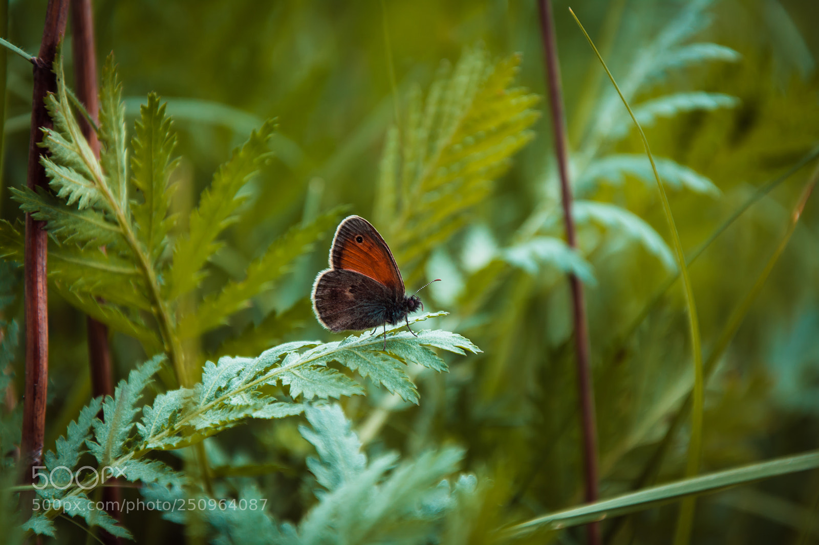 Nikon D7100 sample photo. Untitled photography