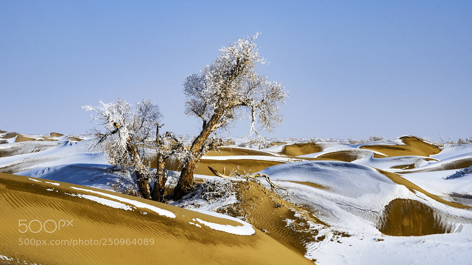 Nikon D7000 sample photo. The desert in winter photography