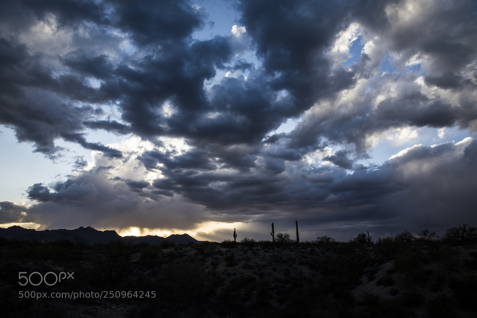 Canon EOS 5D Mark IV sample photo. Sonoran burn photography