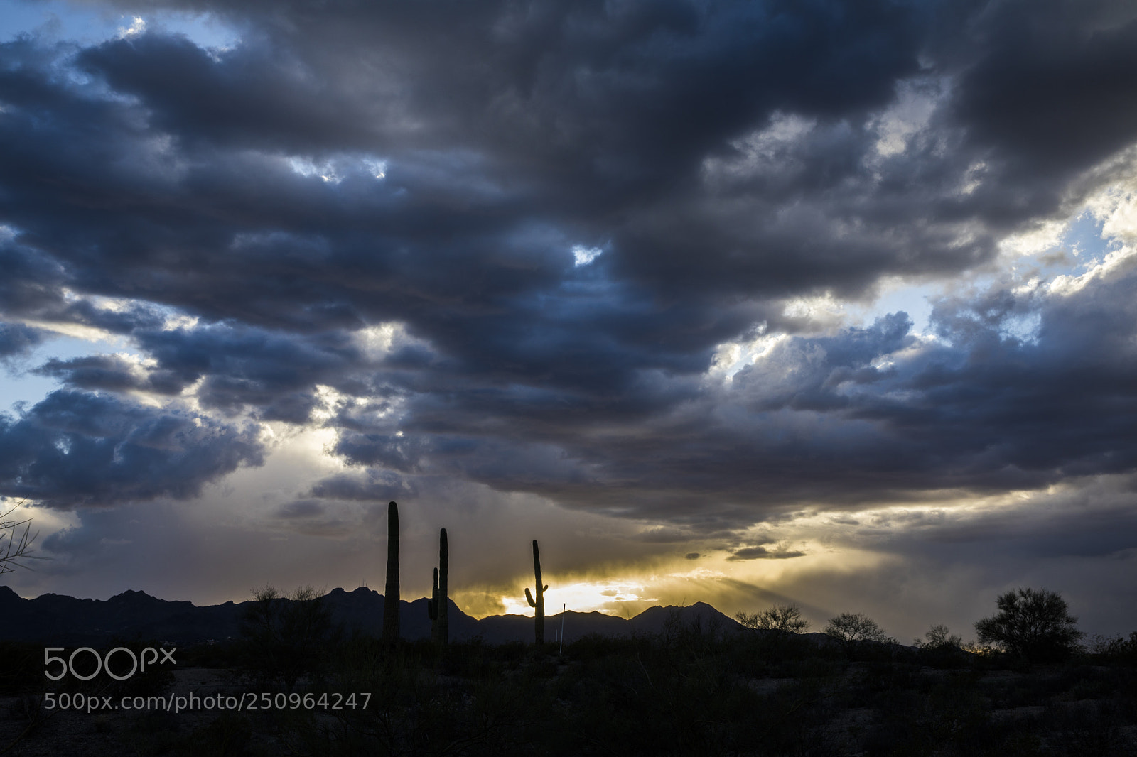 Canon EOS 5D Mark IV sample photo. Sonoran burn photography
