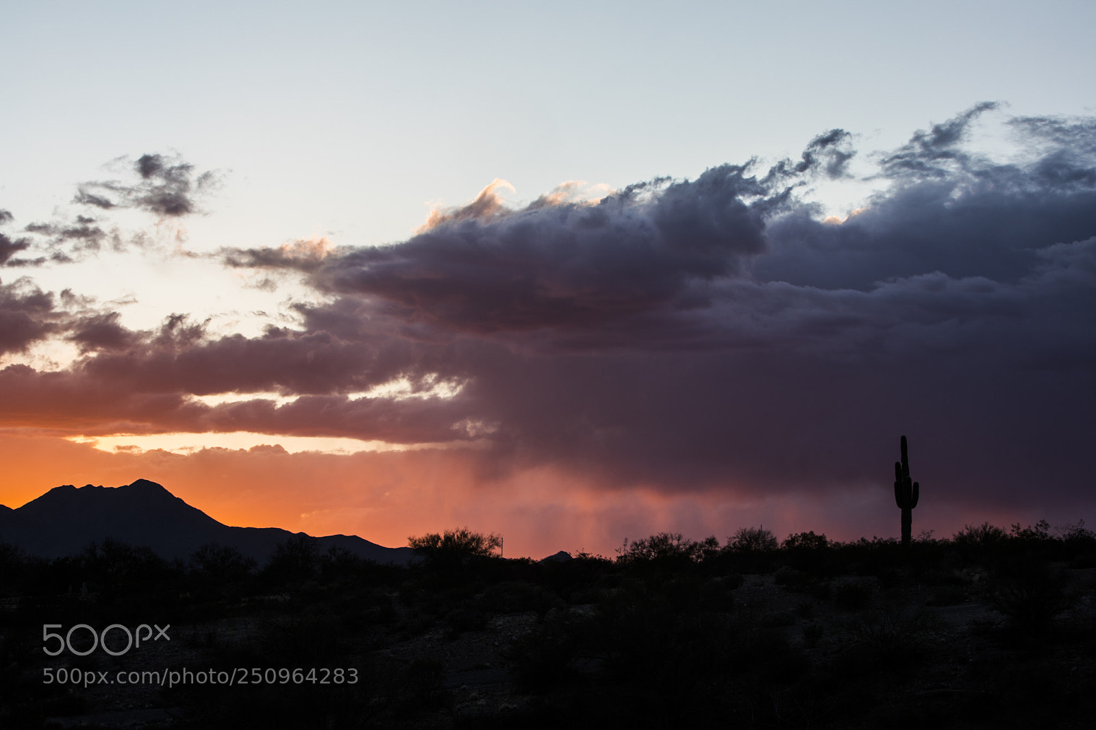Canon EOS 5D Mark IV sample photo. Sonoran burn photography