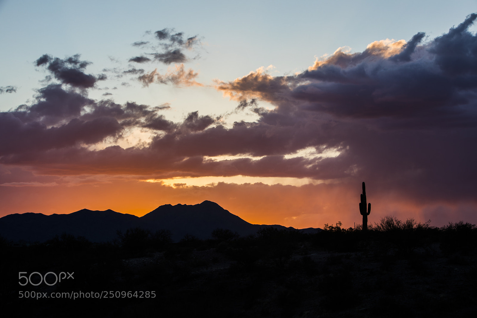 Canon EOS 5D Mark IV sample photo. Sonoran burn photography
