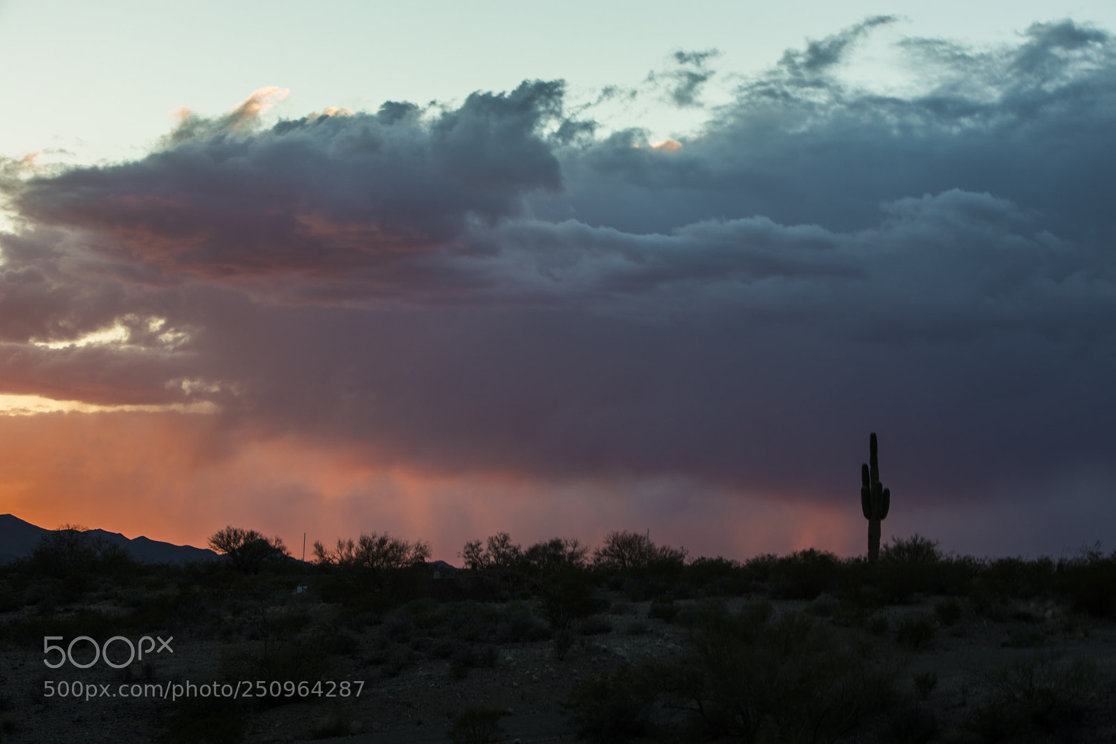 Canon EOS 5D Mark IV sample photo. Sonoran burn photography