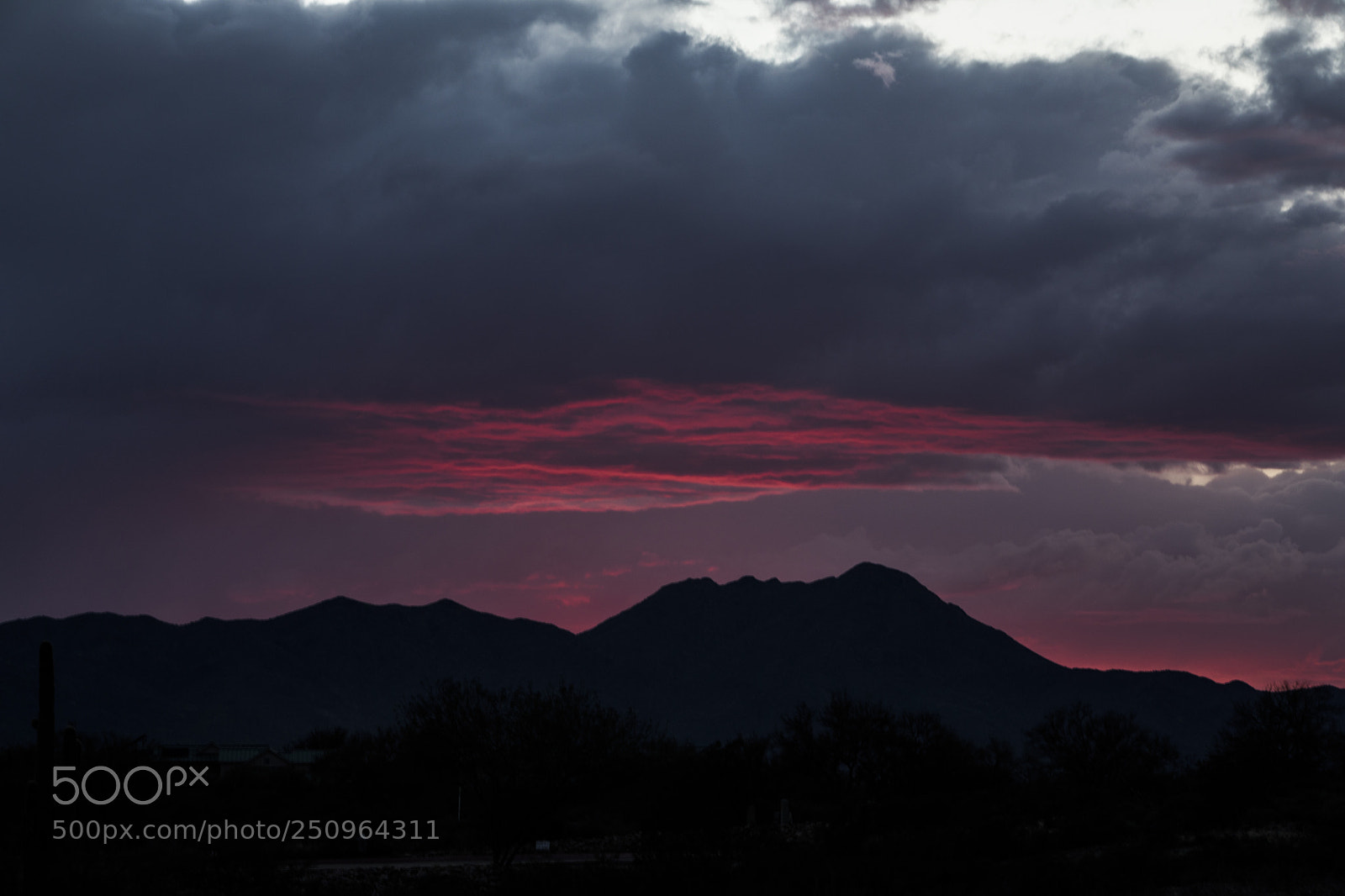 Canon EOS 5D Mark IV sample photo. Sonoran burn photography