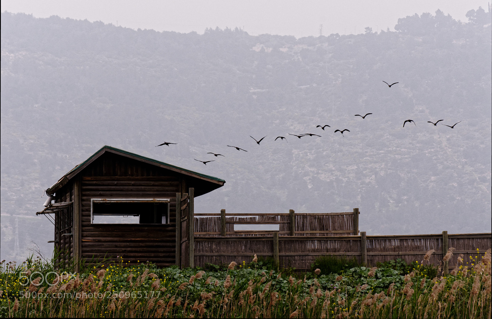 Nikon D7200 sample photo. Agmon hahula photography