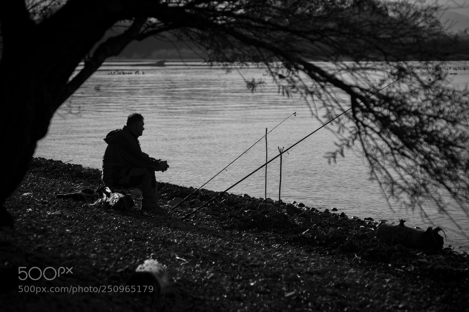 Nikon D7200 sample photo. Angler photography