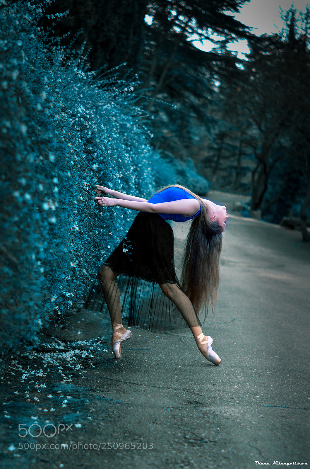 Nikon D5100 sample photo. Ballerina photography