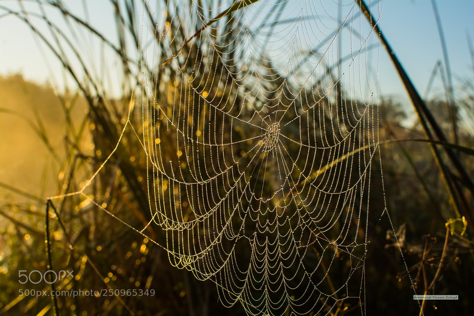 Nikon D7100 sample photo. Untitled photography