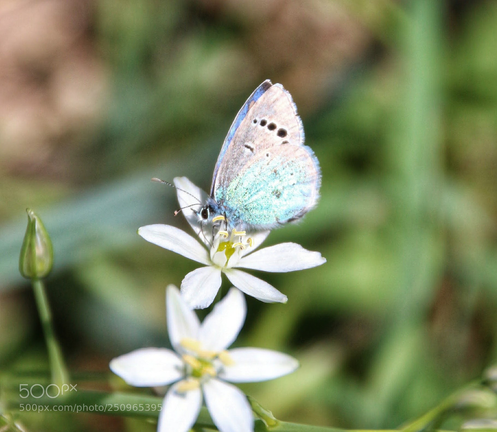 Canon EOS 700D (EOS Rebel T5i / EOS Kiss X7i) sample photo. Untitled photography