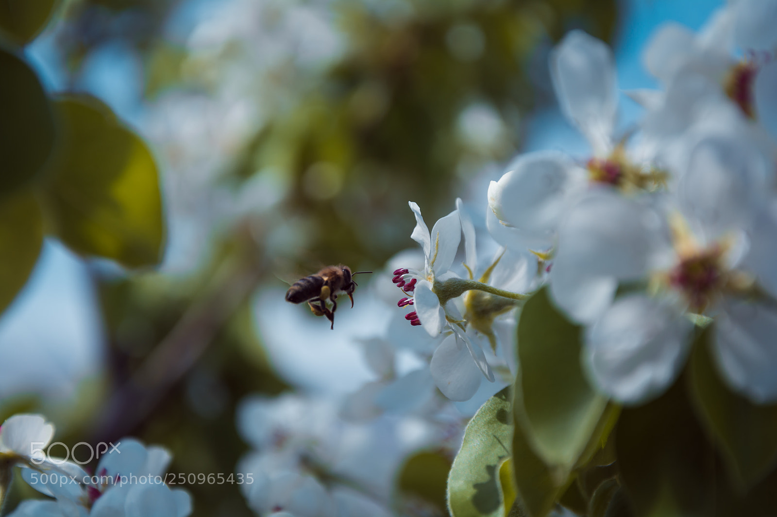 Nikon D7100 sample photo. Untitled photography