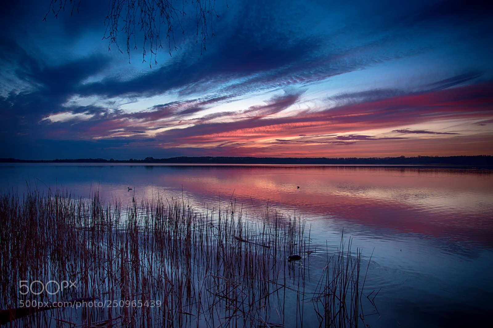 Nikon D7200 sample photo. Abend am see photography