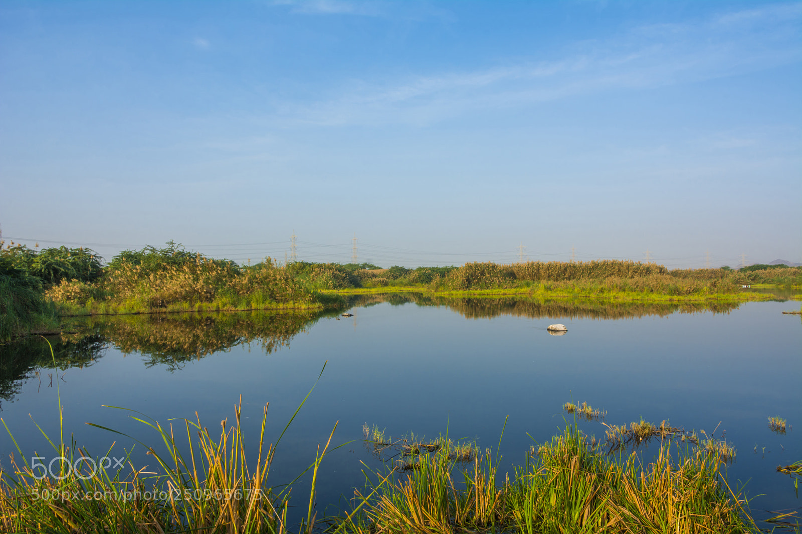 Nikon D7100 sample photo. Calm and quiet photography