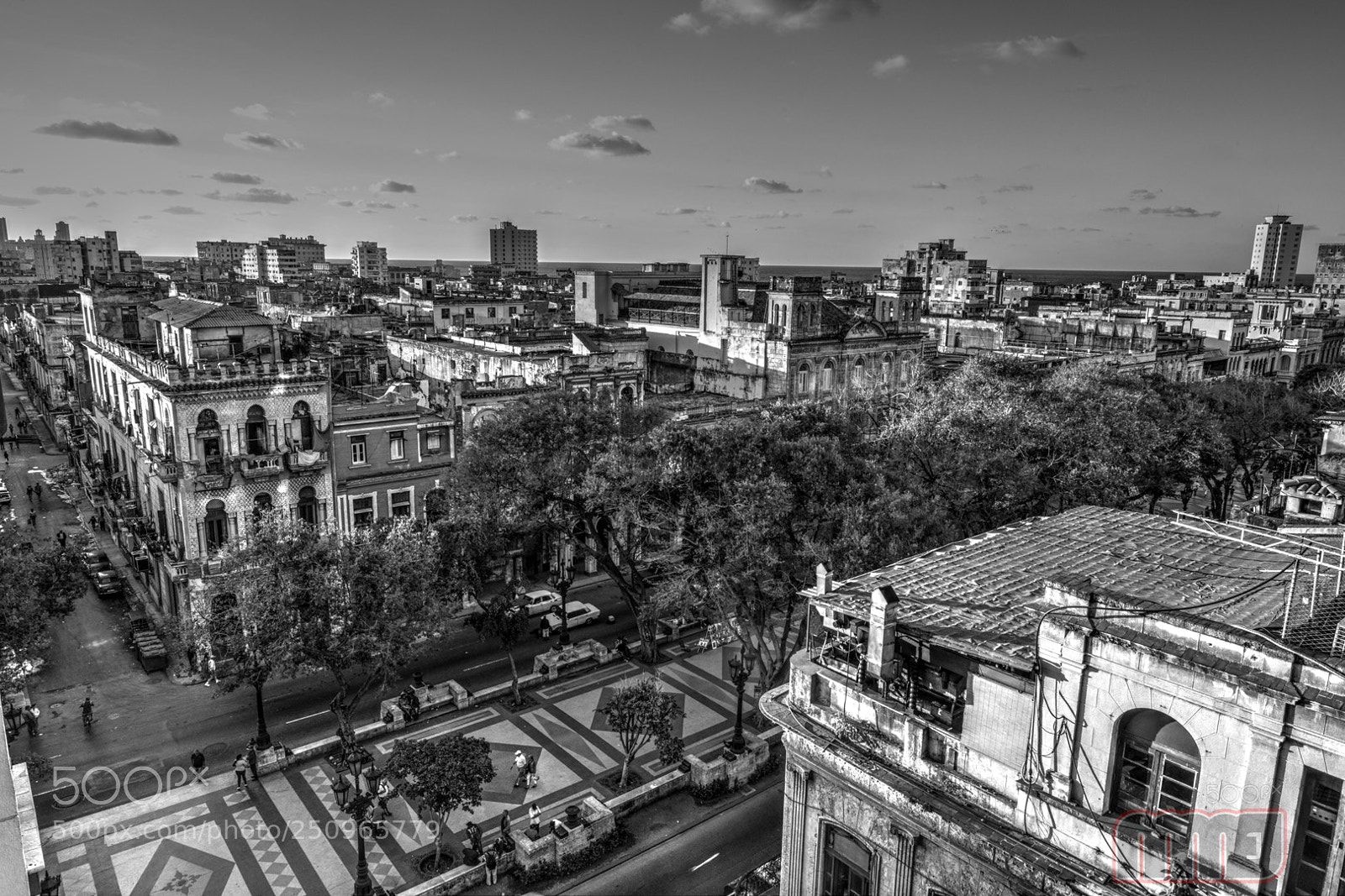 Nikon D800 sample photo. Paseo del prado photography