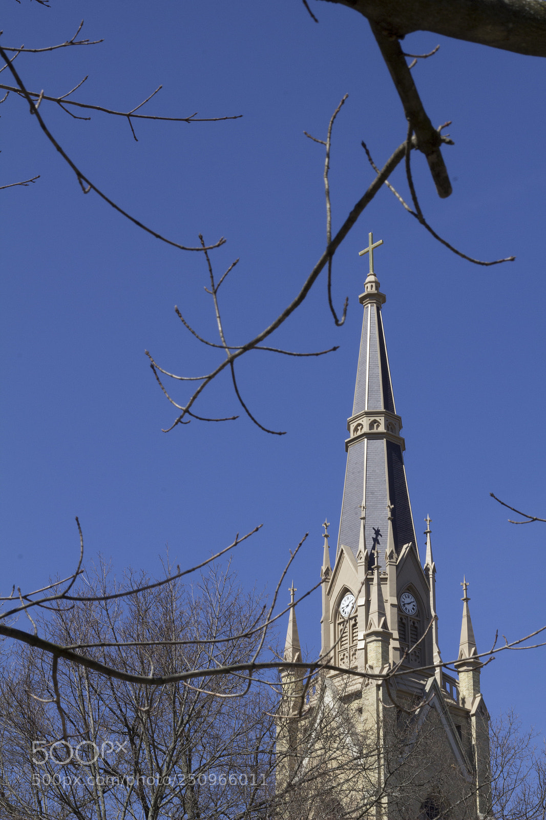 Canon EOS 1200D (EOS Rebel T5 / EOS Kiss X70 / EOS Hi) sample photo. Branches and temple. photography