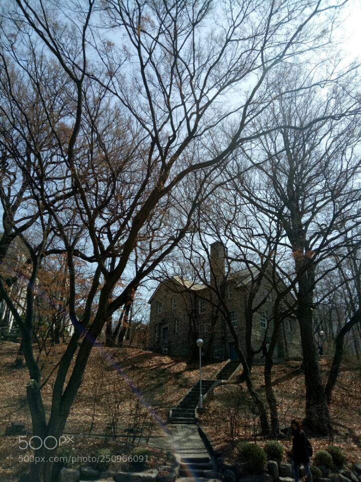OPPO A1601 sample photo. Seoul 2018 photography