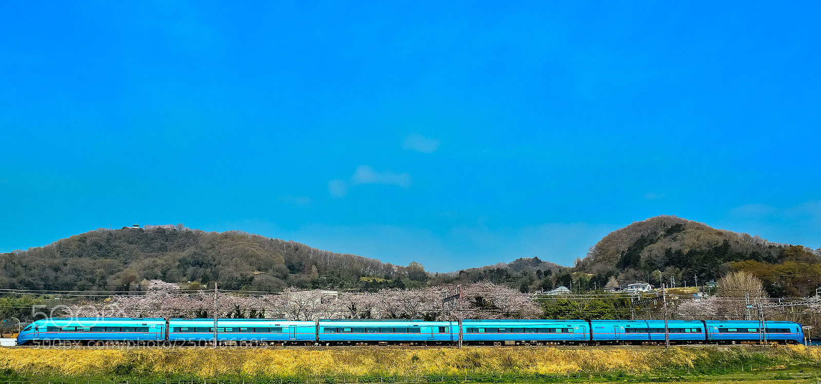 Nikon D7100 sample photo. 特急ロマンスカー・mse photography