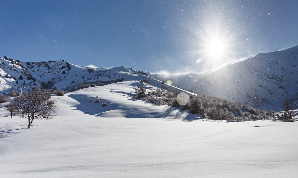 Good morning by Roman Valiev on 500px.com