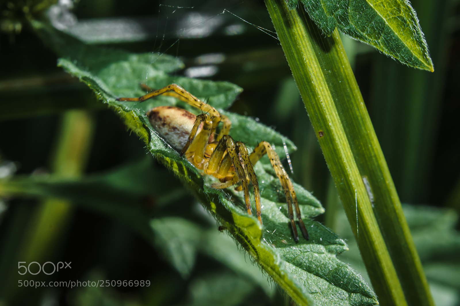 Nikon D7100 sample photo. Untitled photography