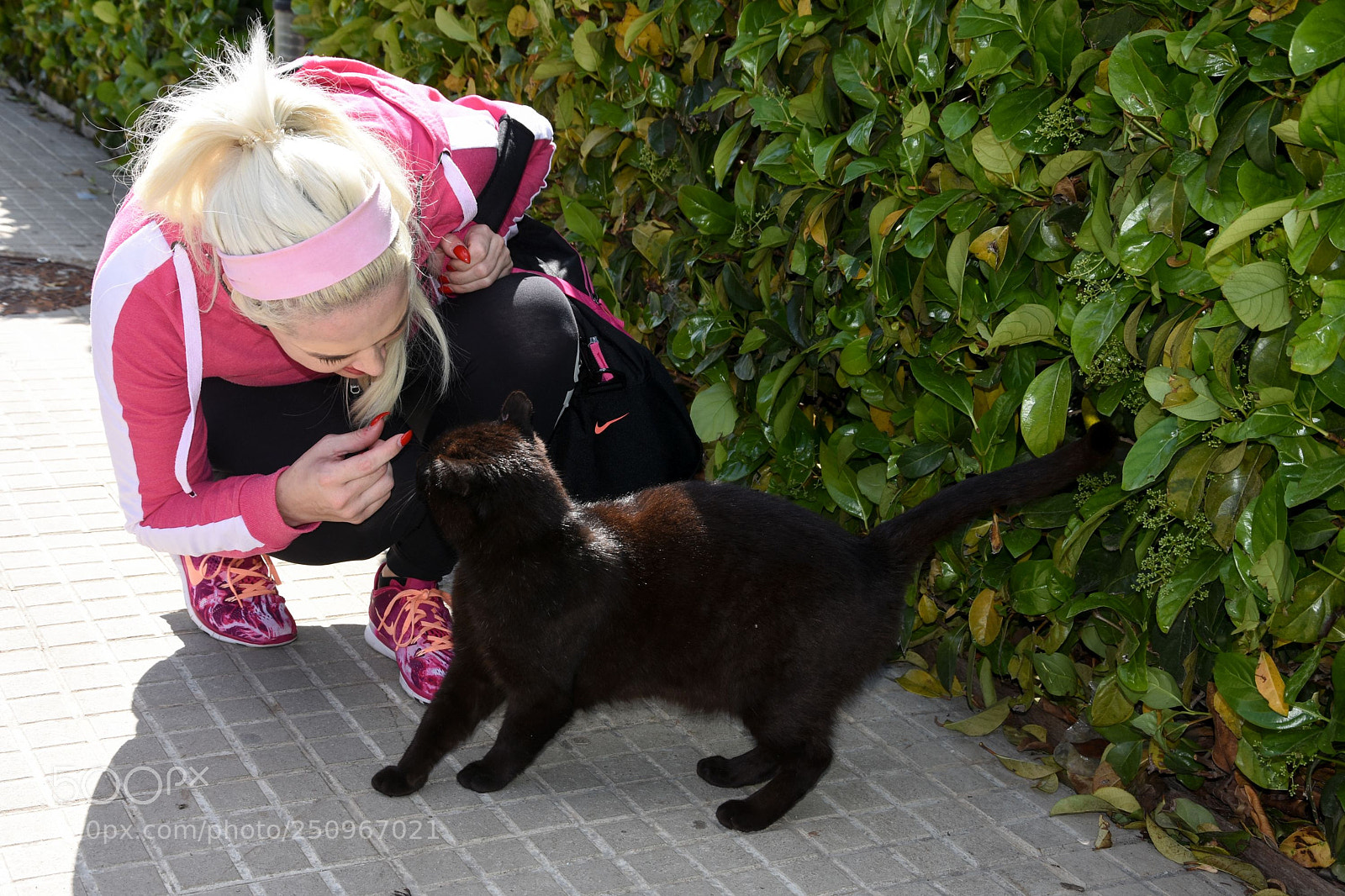 Nikon D7200 sample photo. Daniela katzenberger, die katze photography