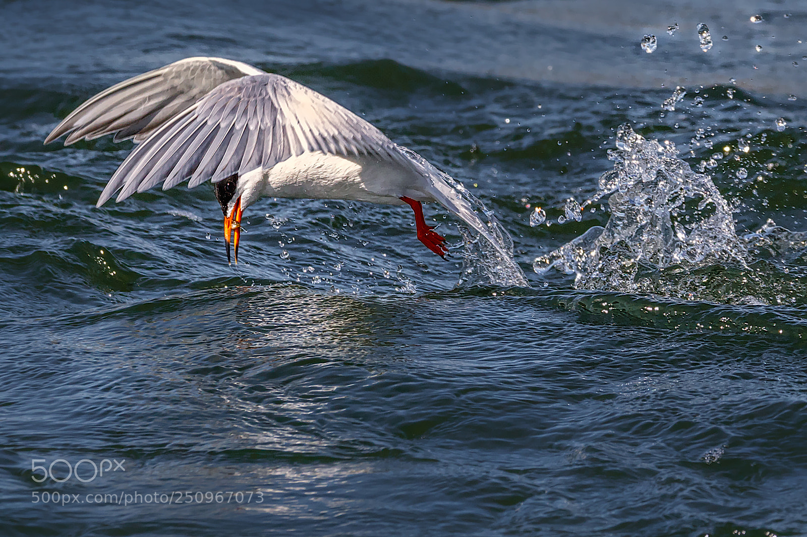 Canon EOS 7D Mark II sample photo. The season opener photography