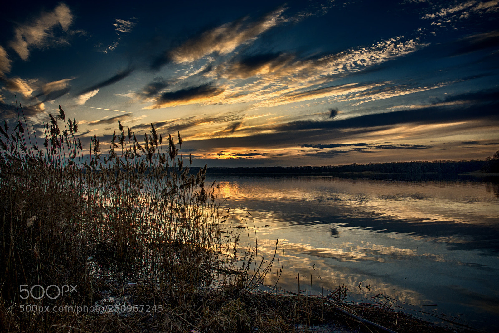 Nikon D7200 sample photo. Drama am see photography