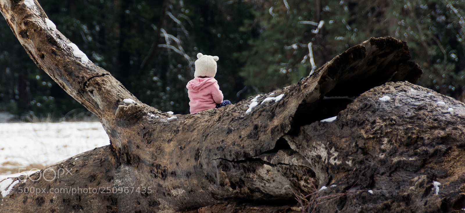 Nikon D7100 sample photo. Small child, large log. photography