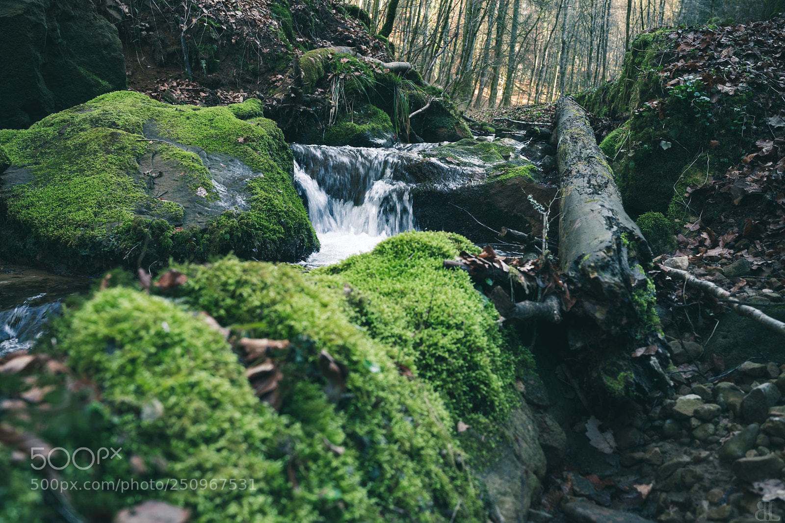 Sony a7 III sample photo. Untitled photography