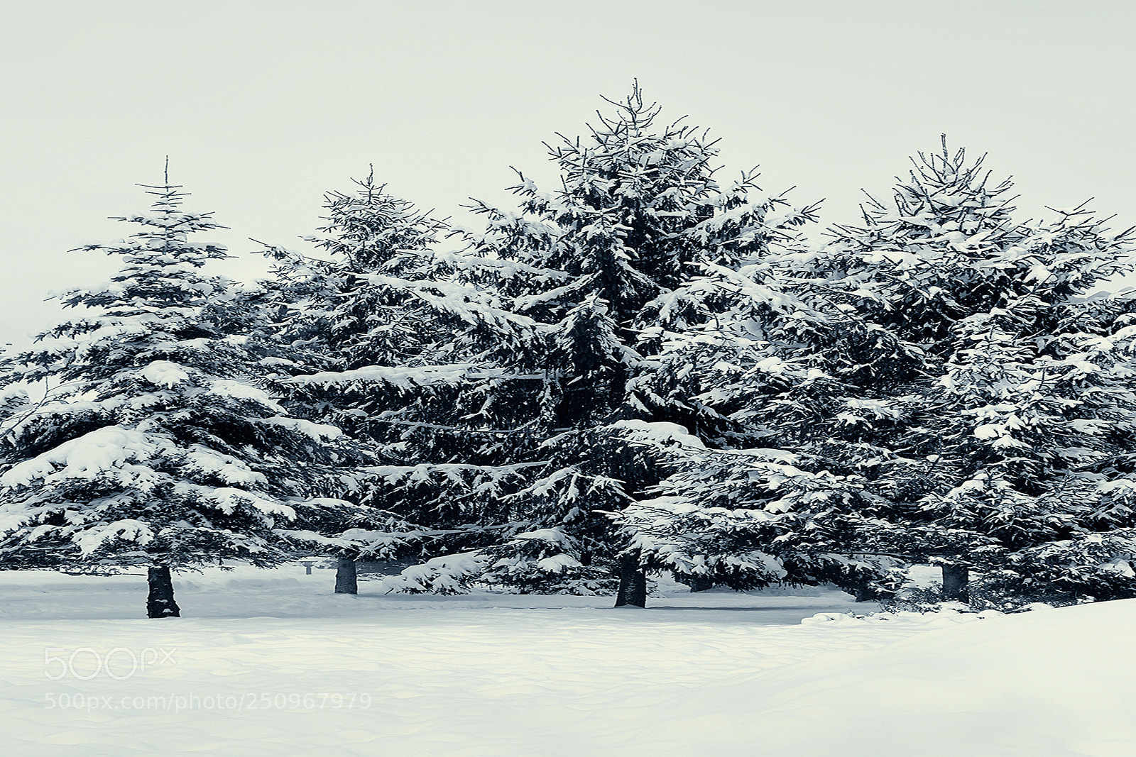 Canon EOS 1300D (EOS Rebel T6 / EOS Kiss X80) sample photo. Winter landscape photography