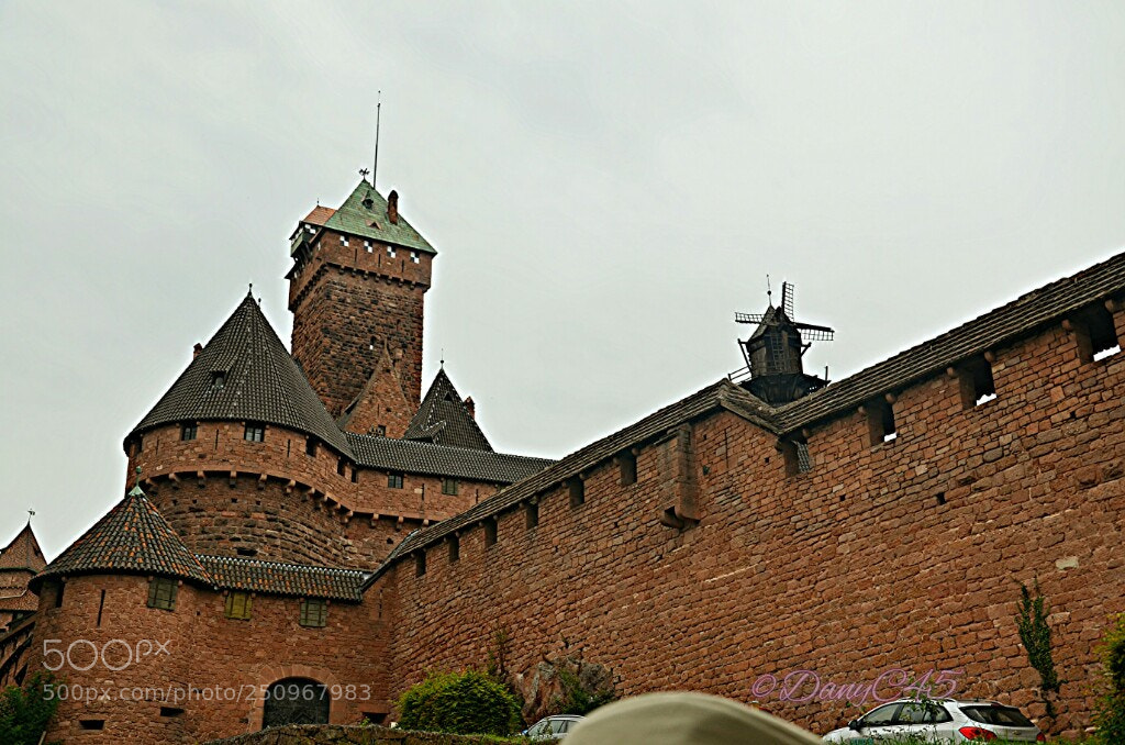 Nikon D5100 sample photo. Alsace (20) photography