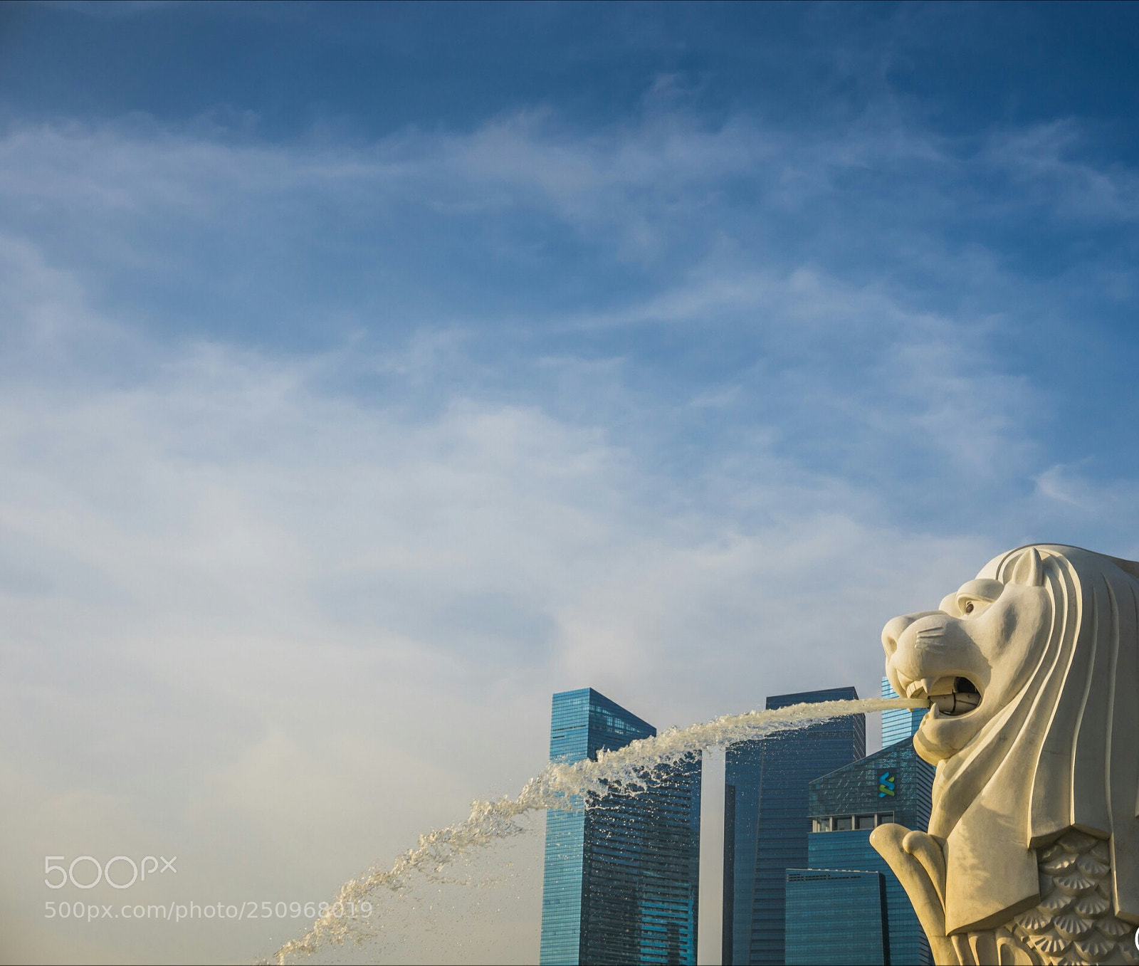 Sony a6000 sample photo. Lions head photography