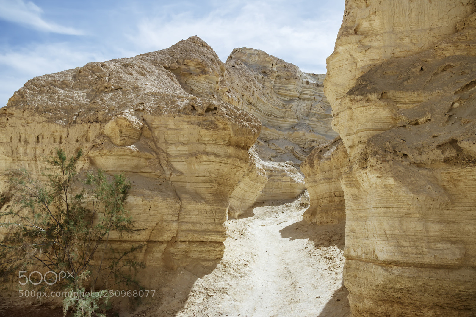 Canon EOS 80D sample photo. A walking trail among photography