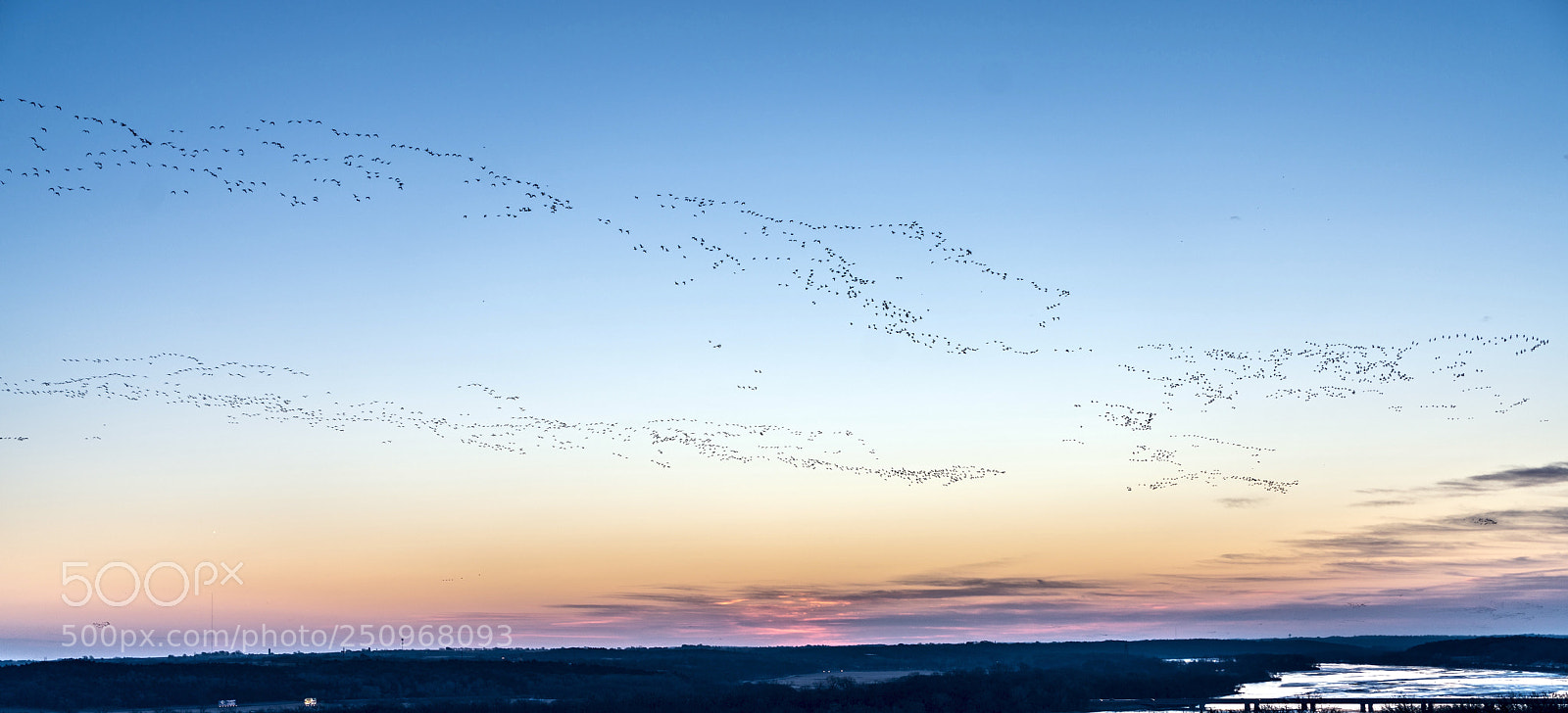 Sony a7R II sample photo. Dsc photography
