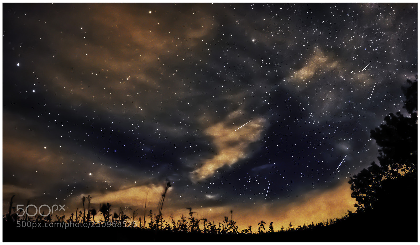 Nikon D7200 sample photo. Stars & clouds photography