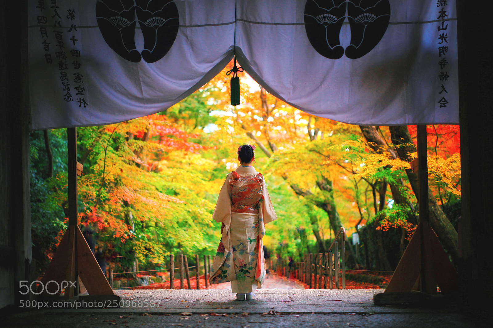 Canon EOS 5D Mark II sample photo. Untitled photography