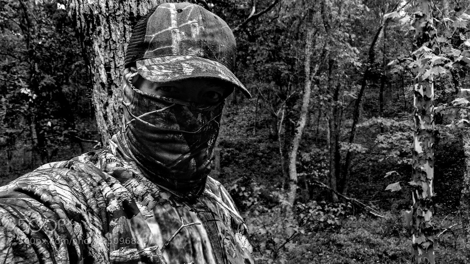Samsung Galaxy S4 sample photo. Bowhunt 2 photography