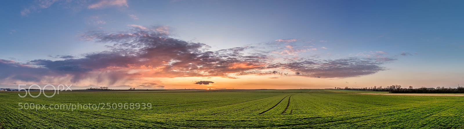 Sony a7 sample photo. The view photography